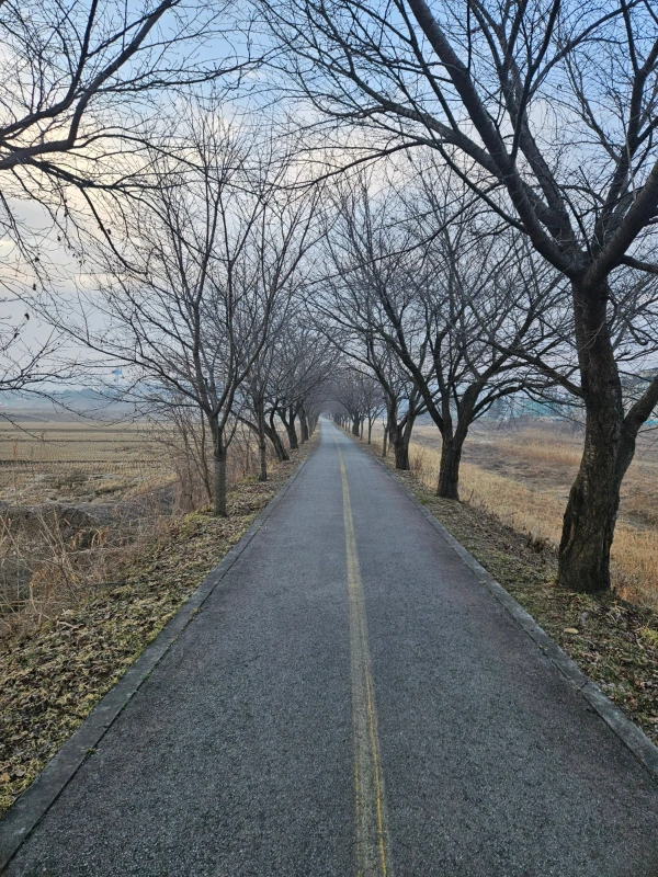 900%EF%BC%BF20250312%EF%BC%BF070555.jpg?type=w3840