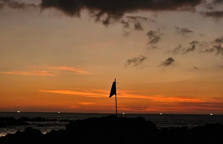 SE-77779a4b-6783-48c4-a712-d52fd40666a1.jpg?type=w773