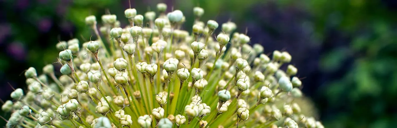 집에서 돈버는 방법.JPG