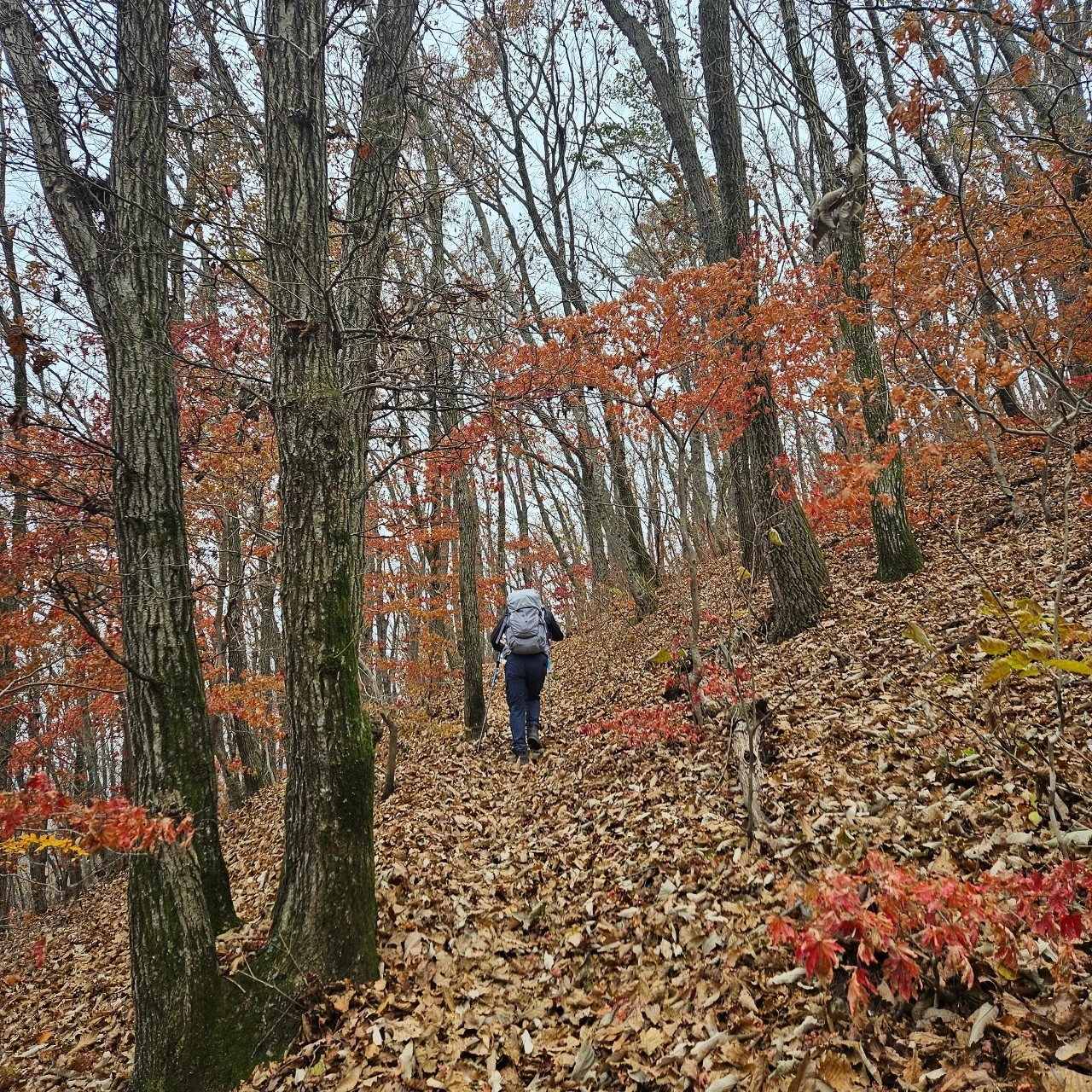 94CMEqJ3oaifip_ASEMbpl7aIeQ