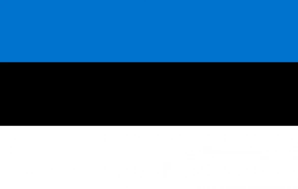 캡처_estonian.PNG