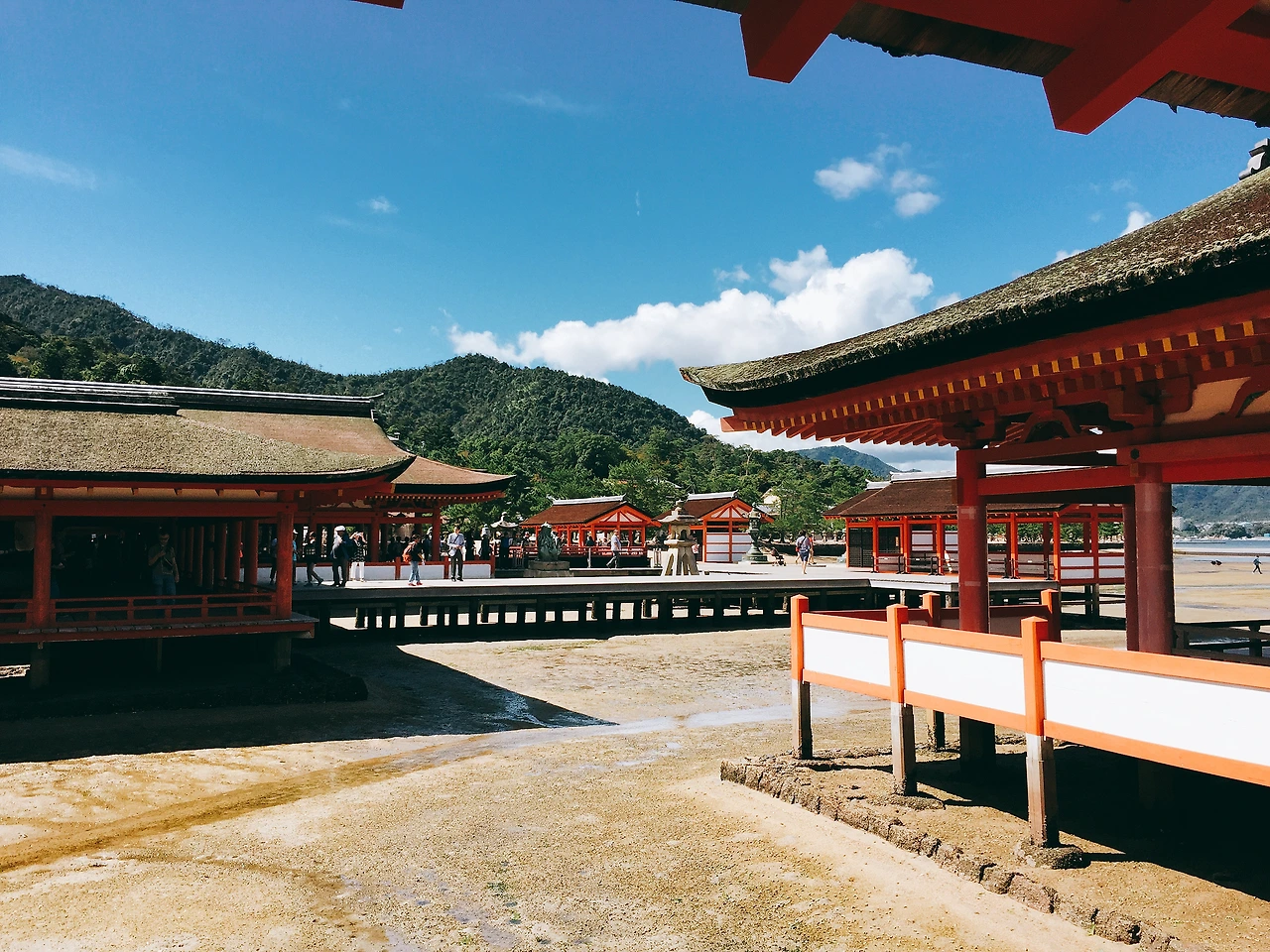 P20171003_113233836_8F927395-4F39-48F6-9FC5-BD6D0B58D521 (2).JPG