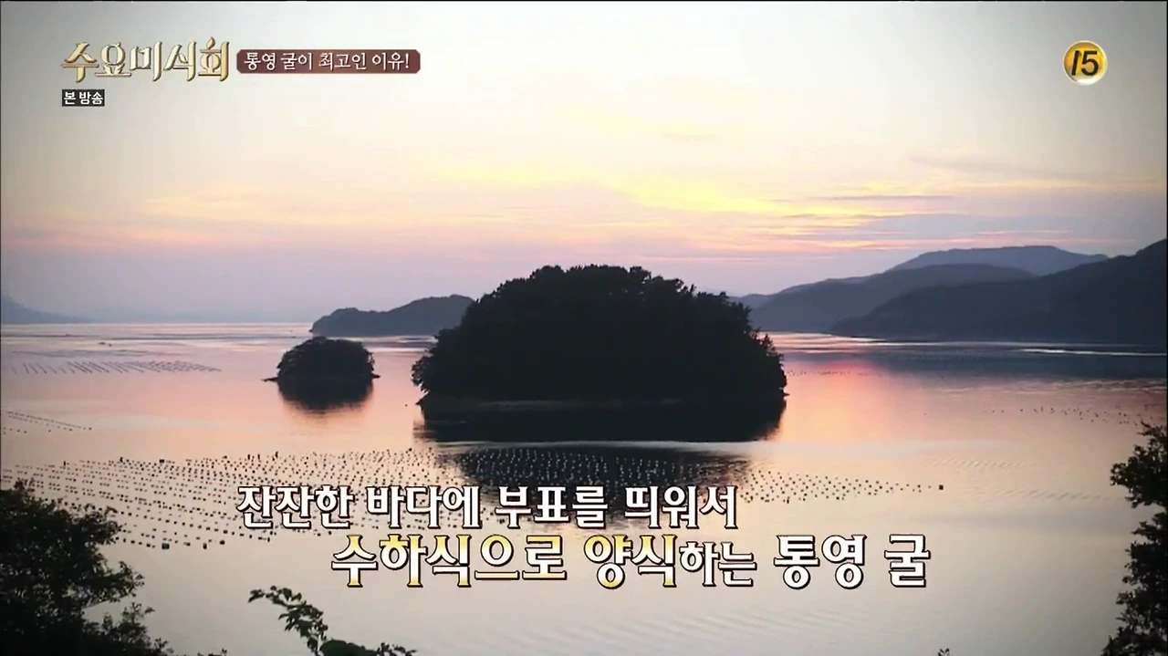 [tvN] 수요미식회.E27.150729.HDTV.H264.720p-WITH.mp4 - 00.20.51.116.png