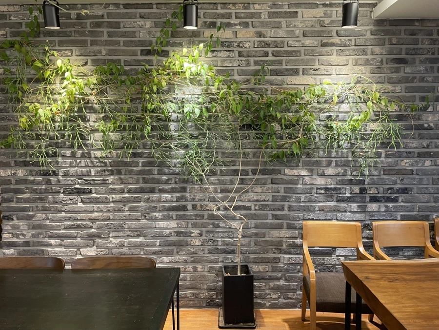 IMG_0110.JPG?type=w1