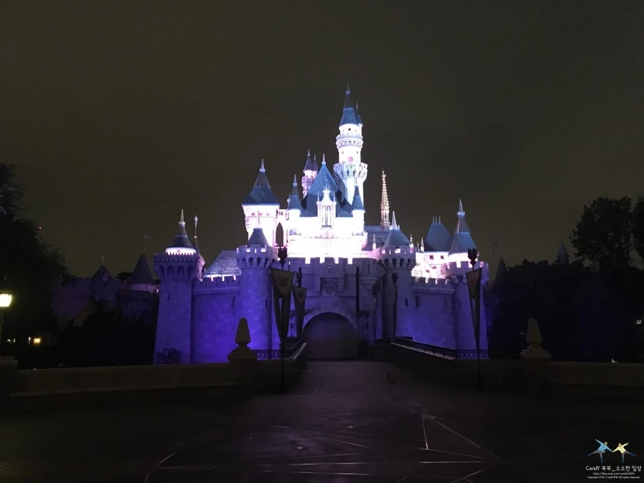 SE-45bd64a9-a687-4727-ae32-1c12c999d29e.jpg?type=w1