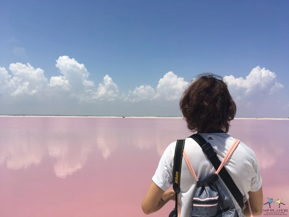 SE-4aa40679-a3ef-456b-ad33-3e4df0a55a87.jpg?type=w1