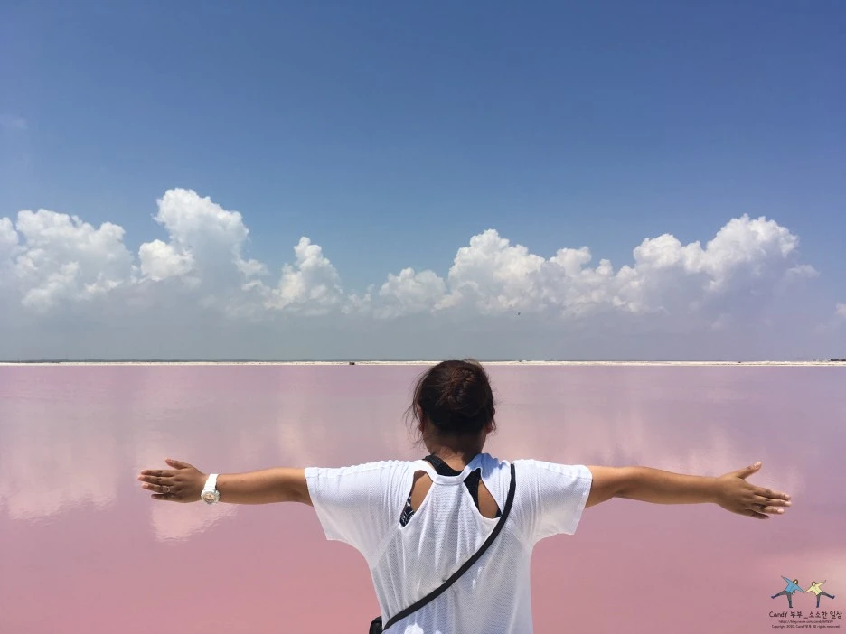 SE-da7114f0-3168-44b0-aeb4-08c884c06189.jpg?type=w1