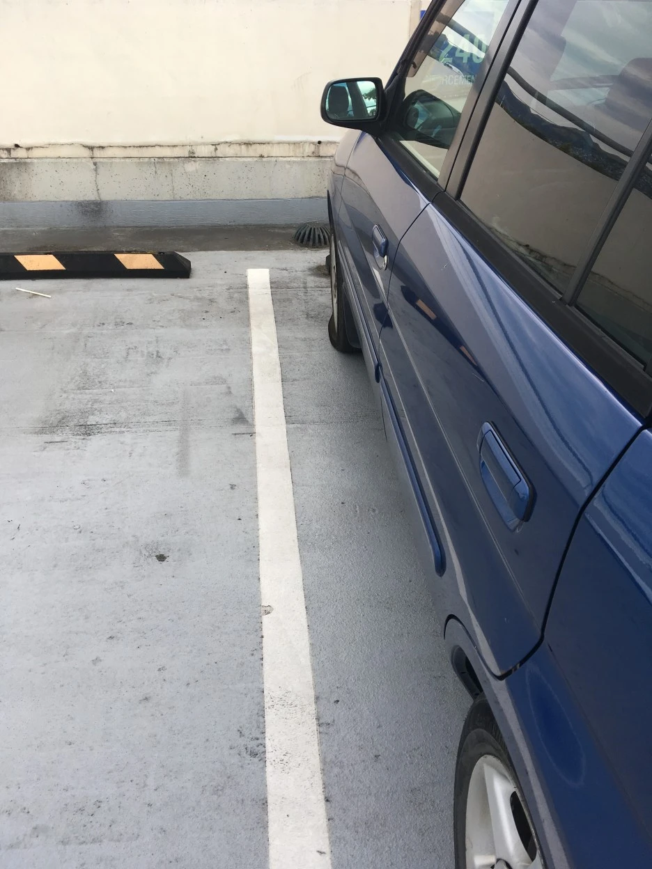 IMG_3763.JPG?type=w1