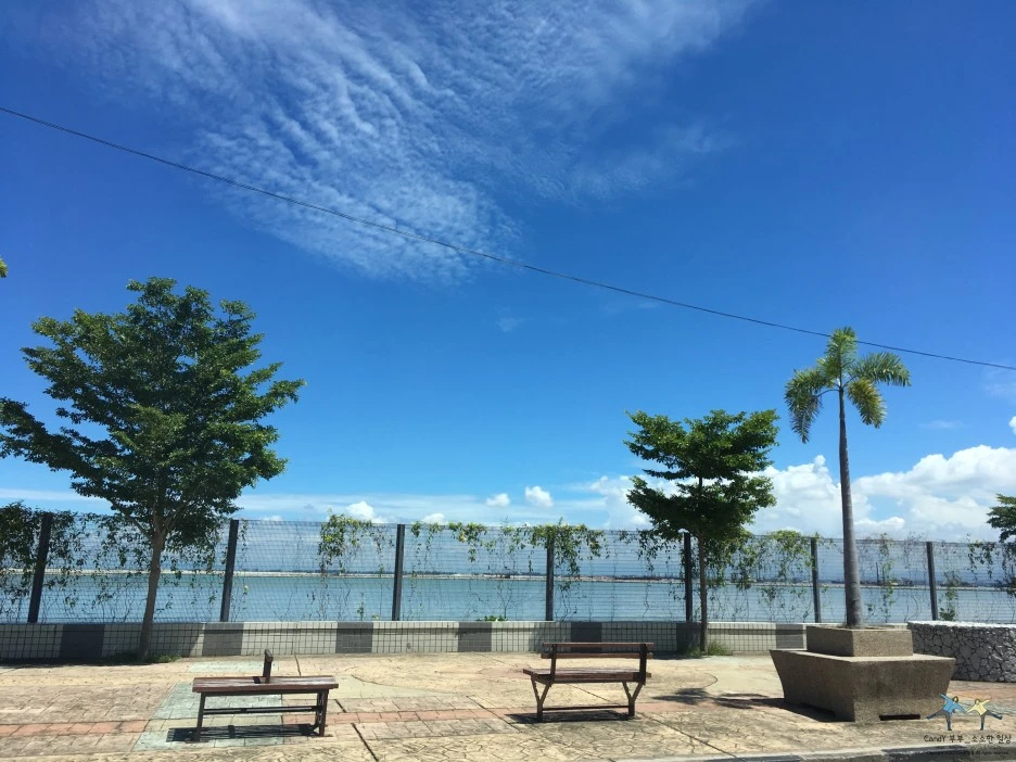 SE-bd9b8b7f-18cd-4563-a2ce-e0475c79fc3e.jpg?type=w1