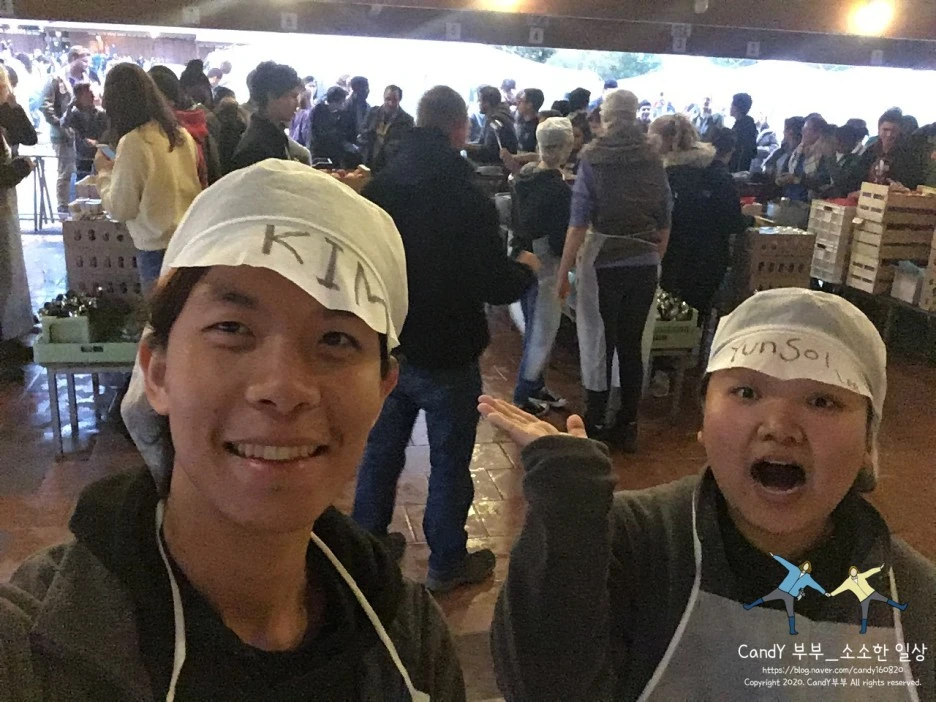 SE-1a7c0246-ae48-4742-8c12-22a64b8e1d9f.jpg?type=w1