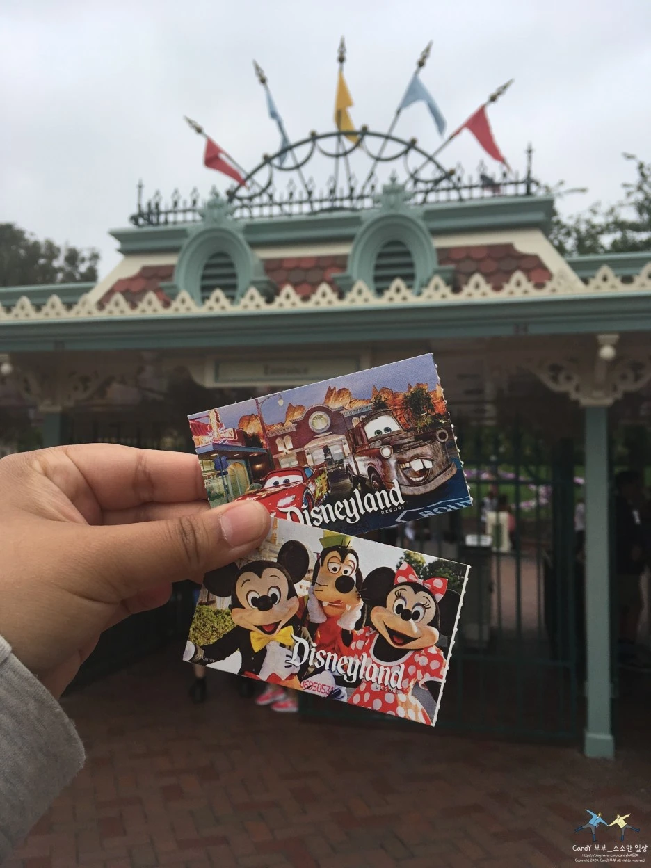 SE-c5e06122-0196-41e8-800e-ddc55d2855c0.jpg?type=w1