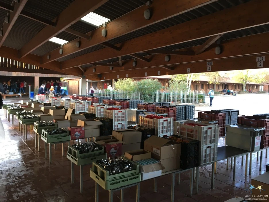 SE-cb8f5472-cfb6-4496-a20f-38895117f495.jpg?type=w1