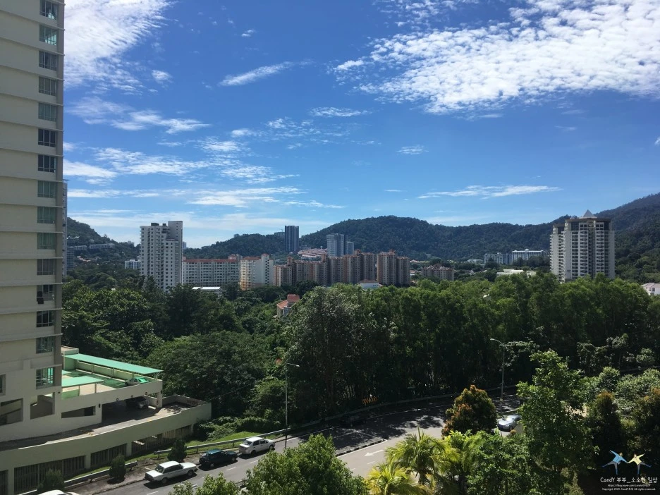 SE-172278f2-fa68-47e8-b3db-3dd53b2eb0bb.jpg?type=w1