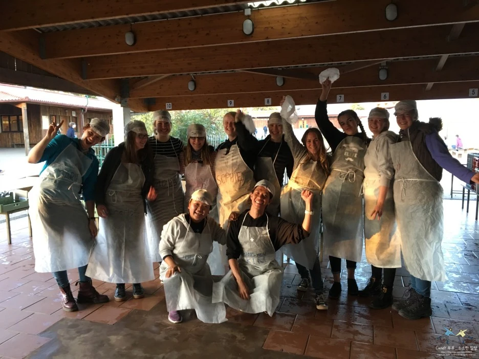 SE-e04b0941-89db-4f67-879d-a15b6be49328.jpg?type=w1