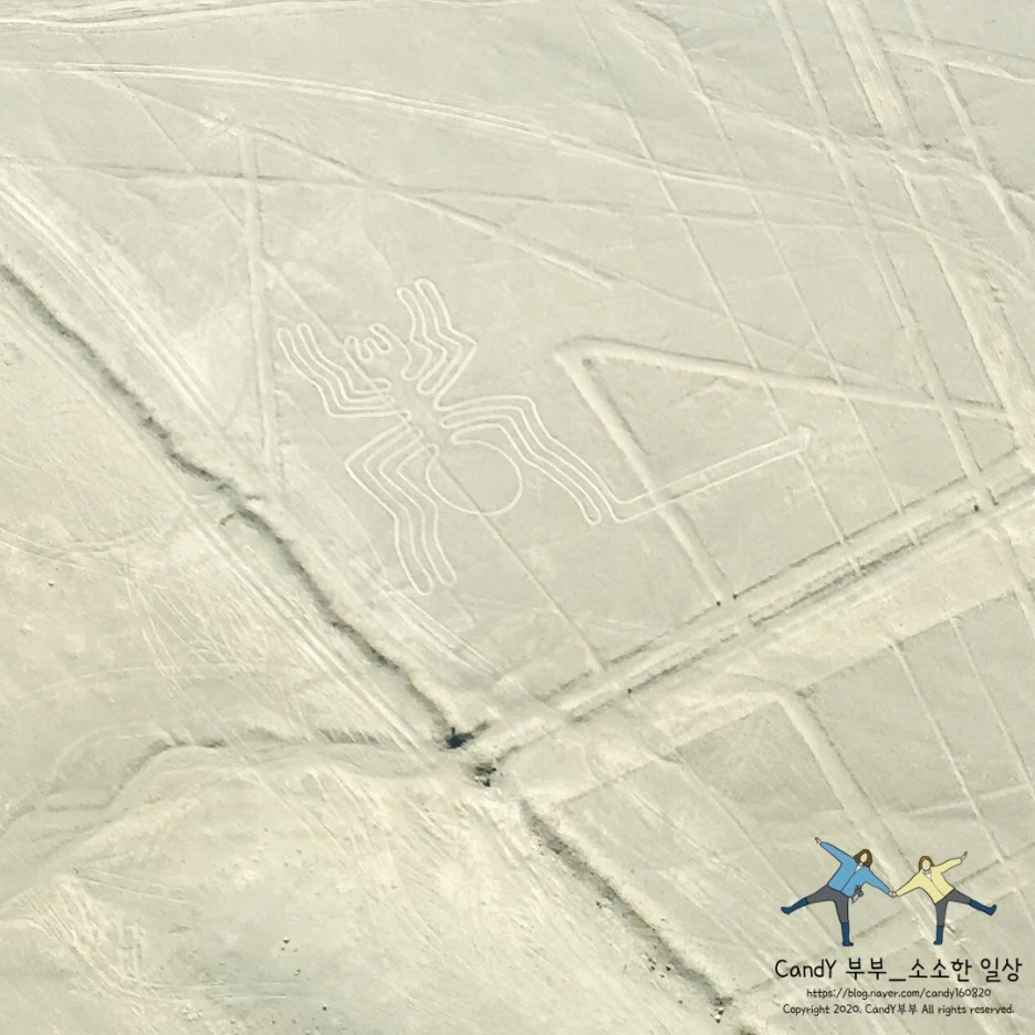 SE-1ce49a20-47a9-46d6-a087-14066b4488b6.jpg?type=w1