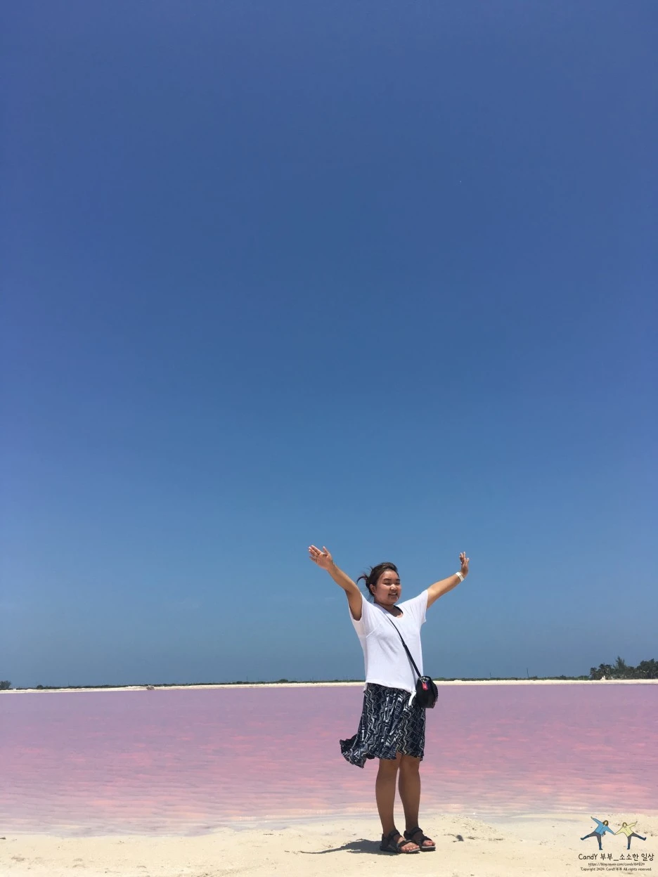 SE-8fb78f53-a891-4a85-8e40-4a1610aaa951.jpg?type=w1