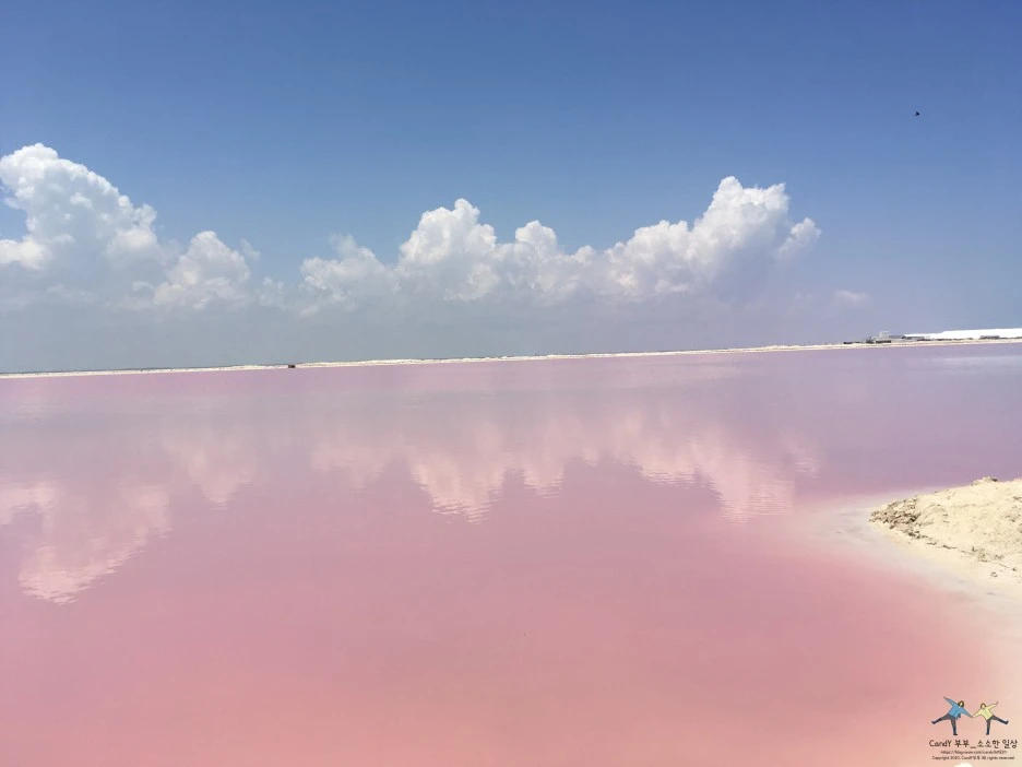 SE-243fb66f-da7e-4495-ace5-183ec962b7b3.jpg?type=w1