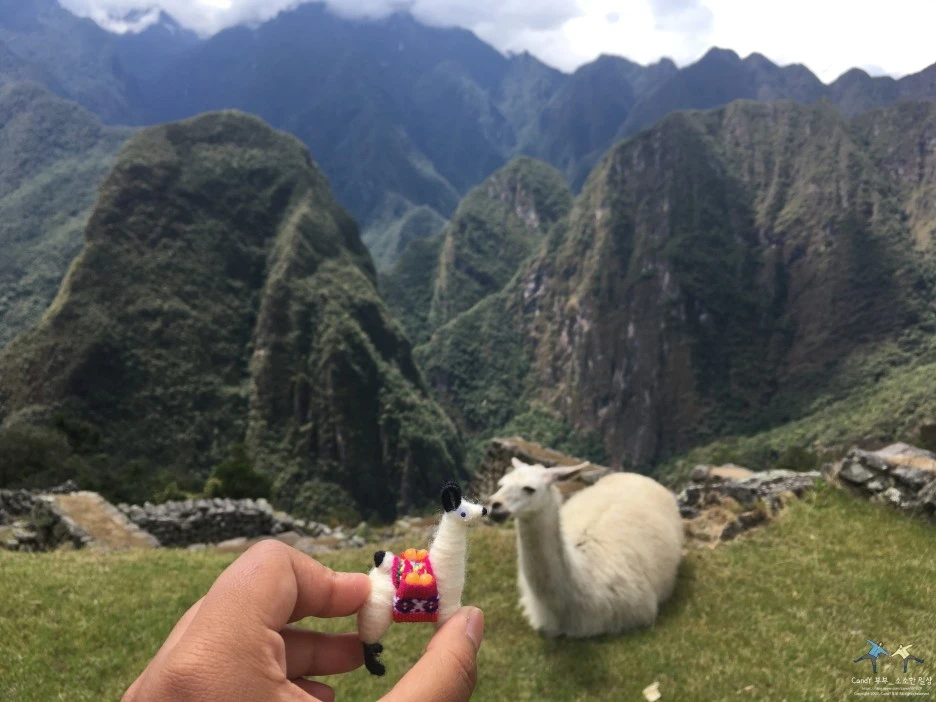 SE-8204b3f3-a15c-400c-8170-93074654c372.jpg?type=w1