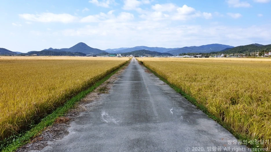 20201011_114004.jpg?type=w1