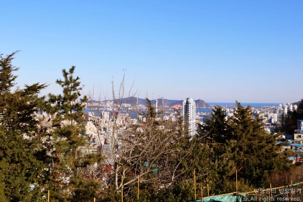 IMG_0009.JPG?type=w966