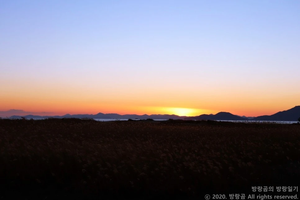 IMG_0102.JPG?type=w966