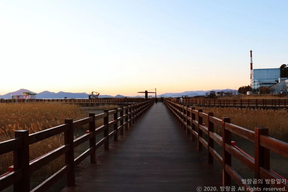 IMG_0098.JPG?type=w966