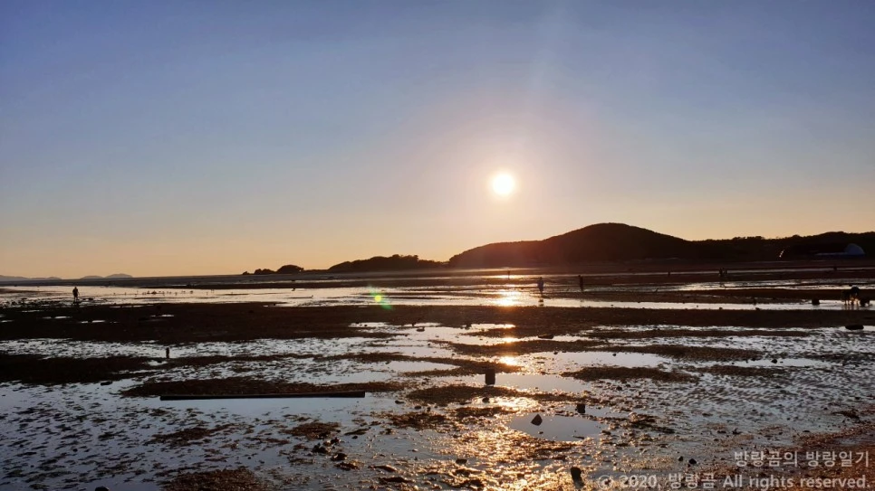 20200913_180641.jpg?type=w966