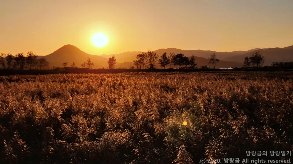 20201009_174118.jpg?type=w966