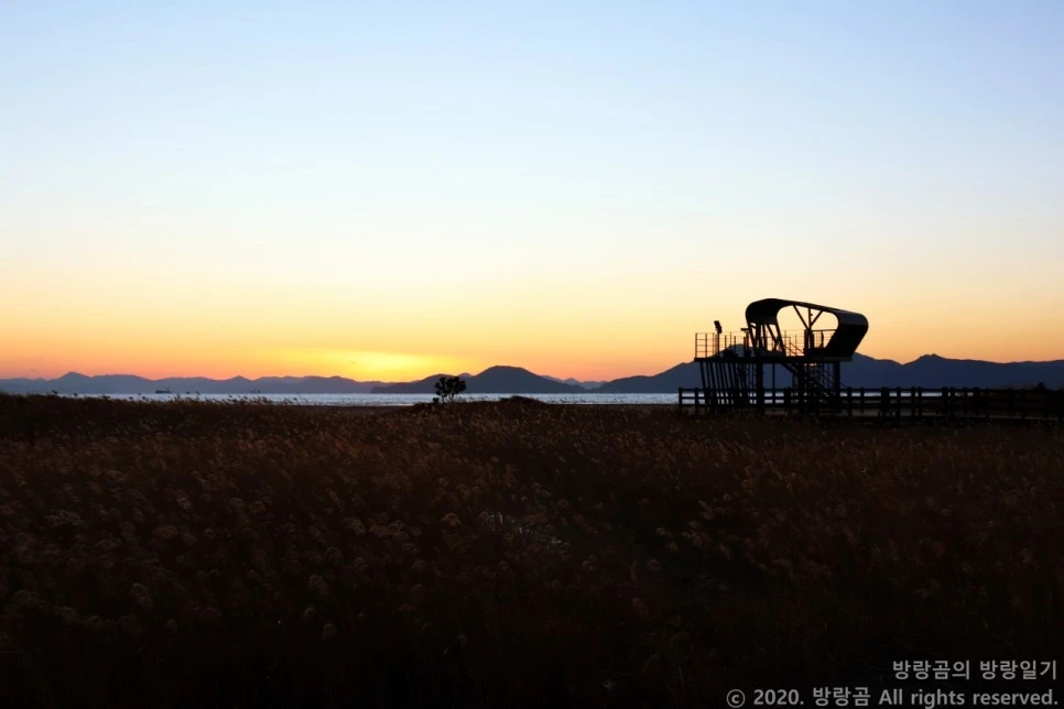 IMG_0117.JPG?type=w966