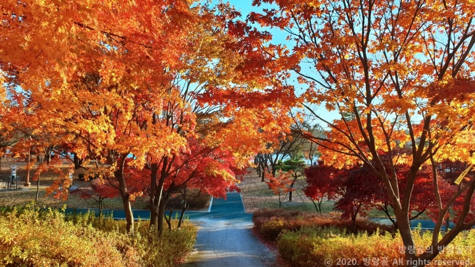 20201108_163345.jpg?type=w1