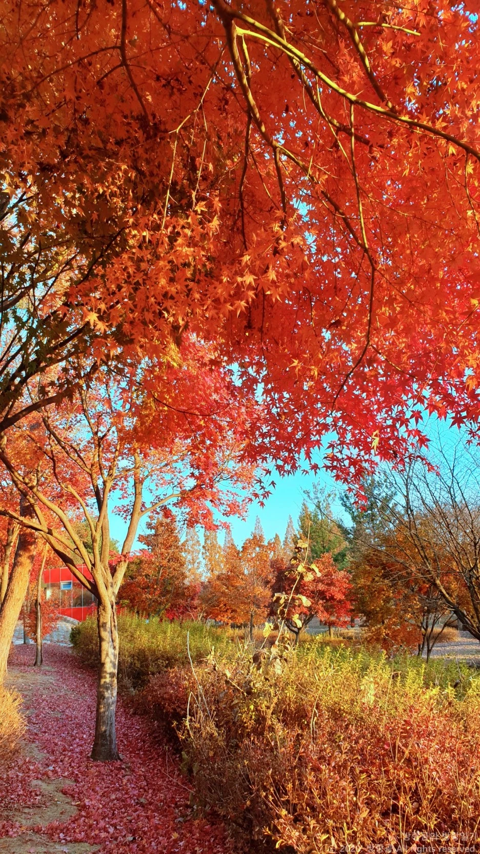 20201108_165844.jpg?type=w1