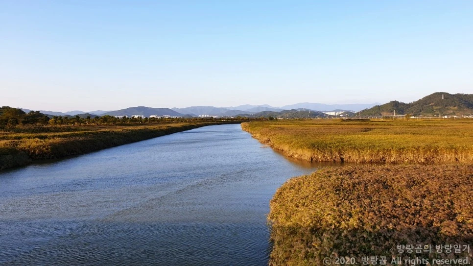 20201009_171040.jpg?type=w966