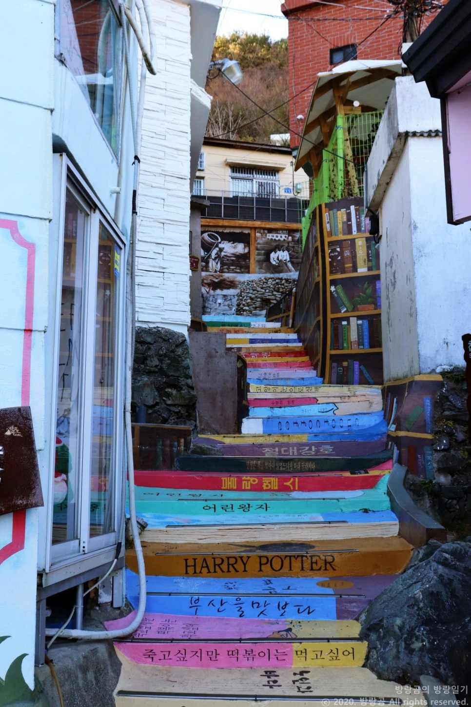 IMG_0051.JPG?type=w966