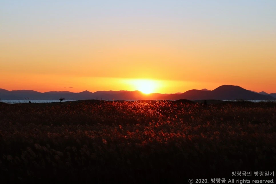 IMG_0094.JPG?type=w966