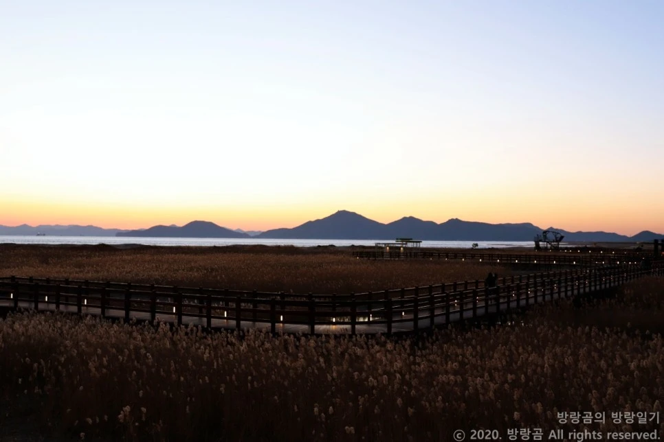 IMG_0131.JPG?type=w966