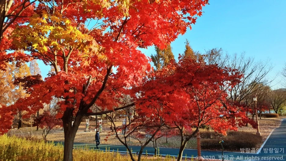 20201108_163720.jpg?type=w1