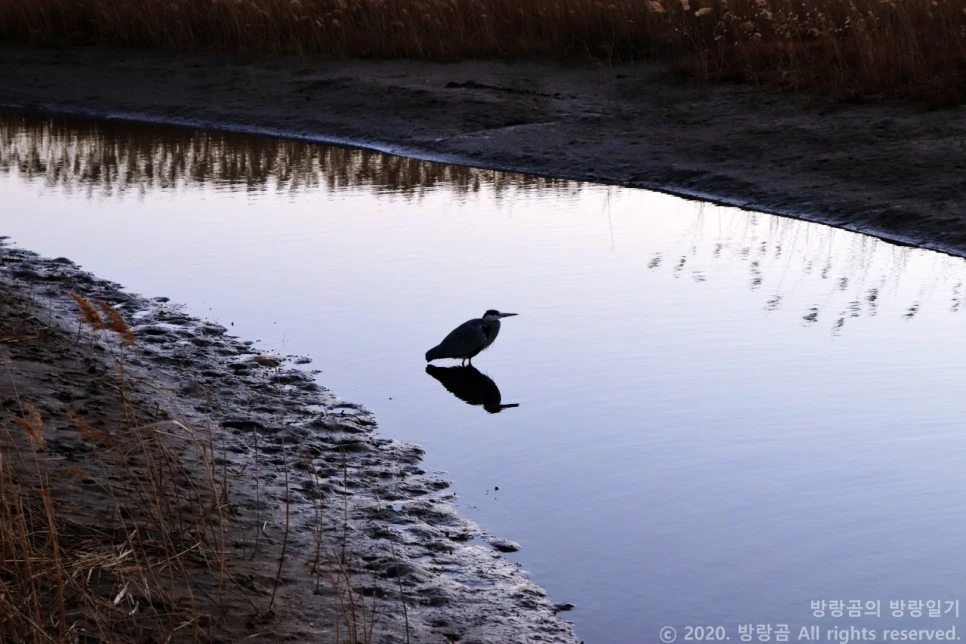 IMG_0124.JPG?type=w966