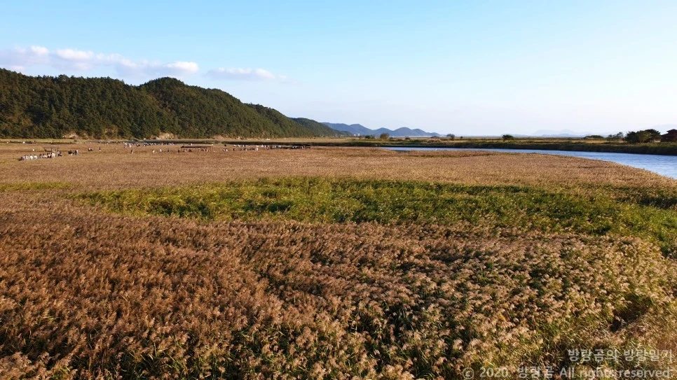 20201009_171022.jpg?type=w966