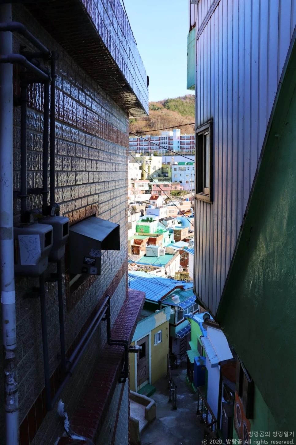 IMG_0019.JPG?type=w966