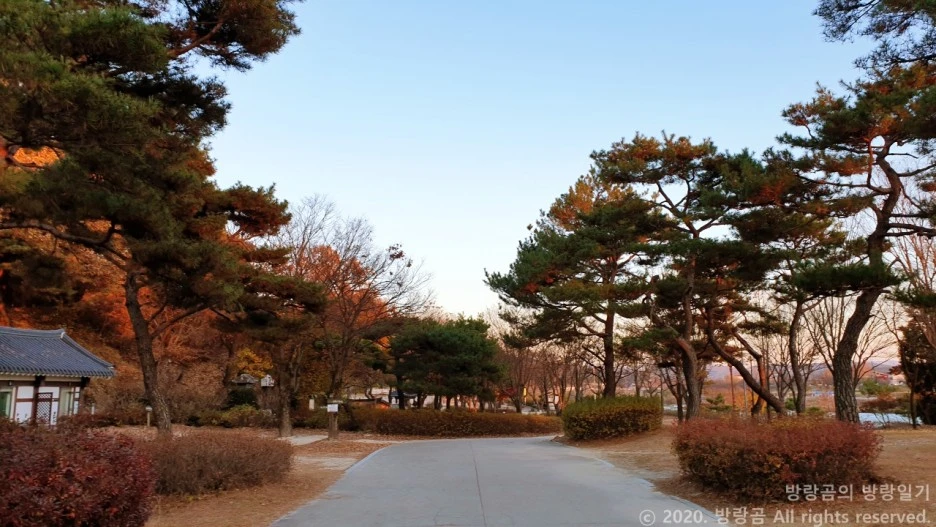 20201108_171358.jpg?type=w1