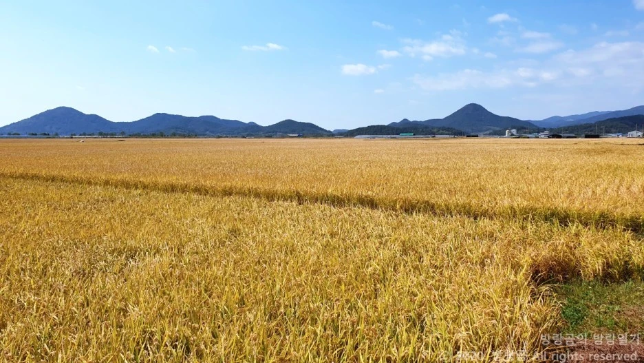 20201011_113648.jpg?type=w1