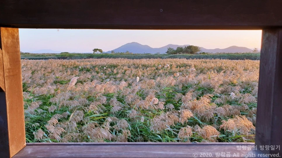 20201009_174438.jpg?type=w966