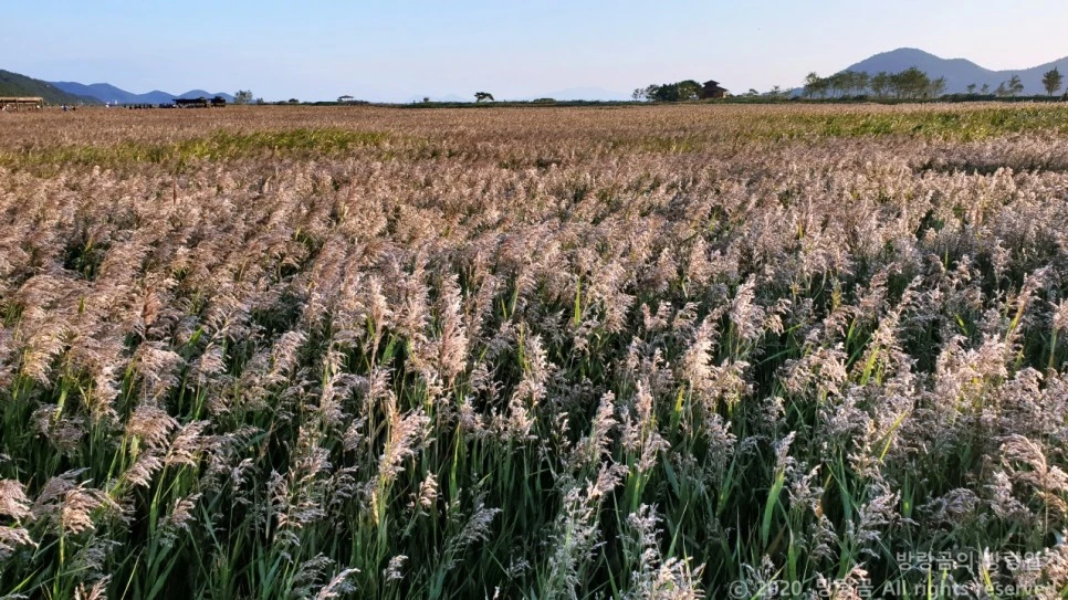 20201009_171731.jpg?type=w966