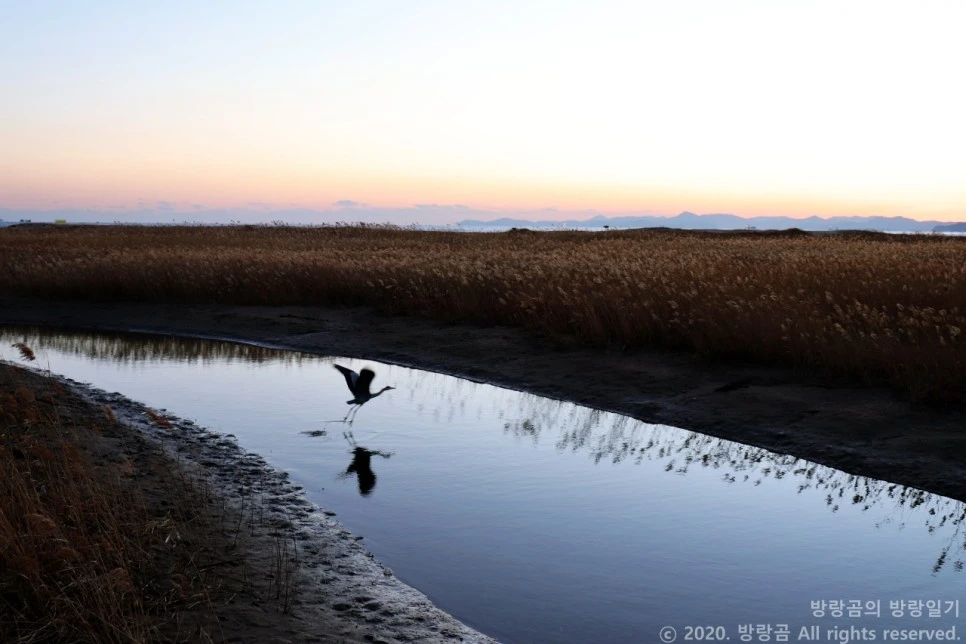 IMG_0127.JPG?type=w966