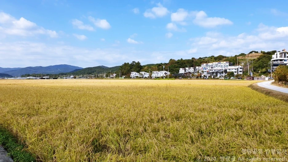 20201011_114016.jpg?type=w1