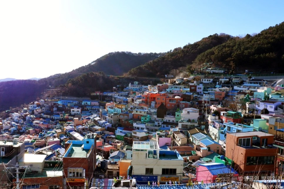 IMG_0005.JPG?type=w966