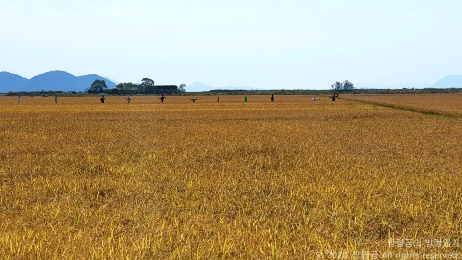 20201011_113635.jpg?type=w1