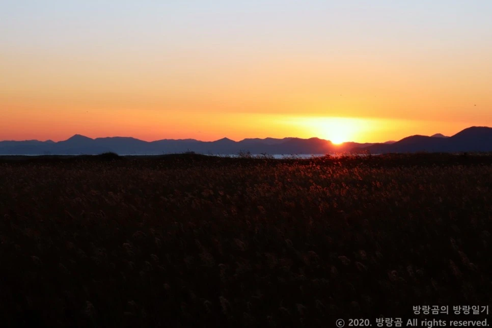 IMG_0100.JPG?type=w966