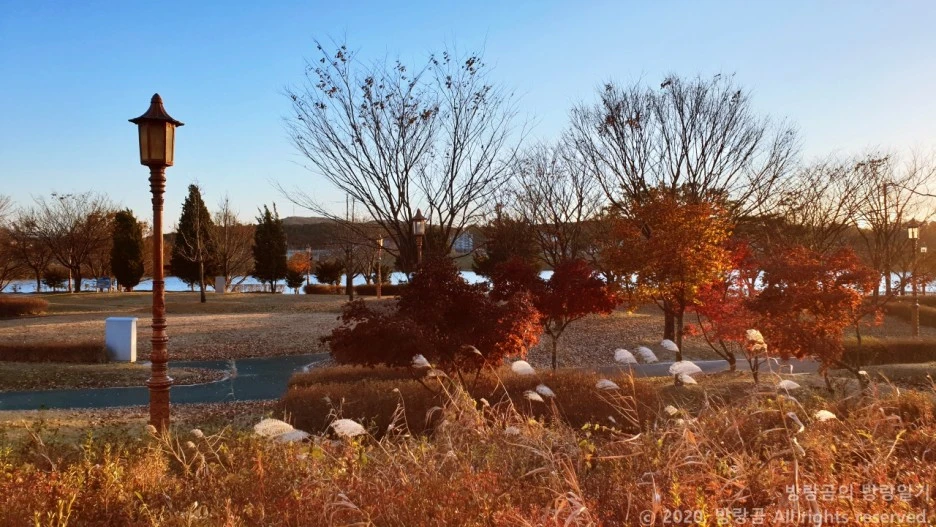 20201108_165704.jpg?type=w1