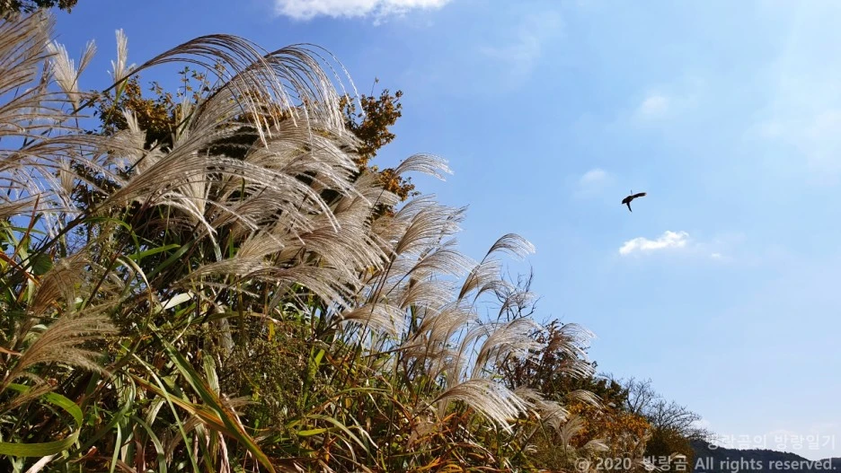 20201011_113943.jpg?type=w1